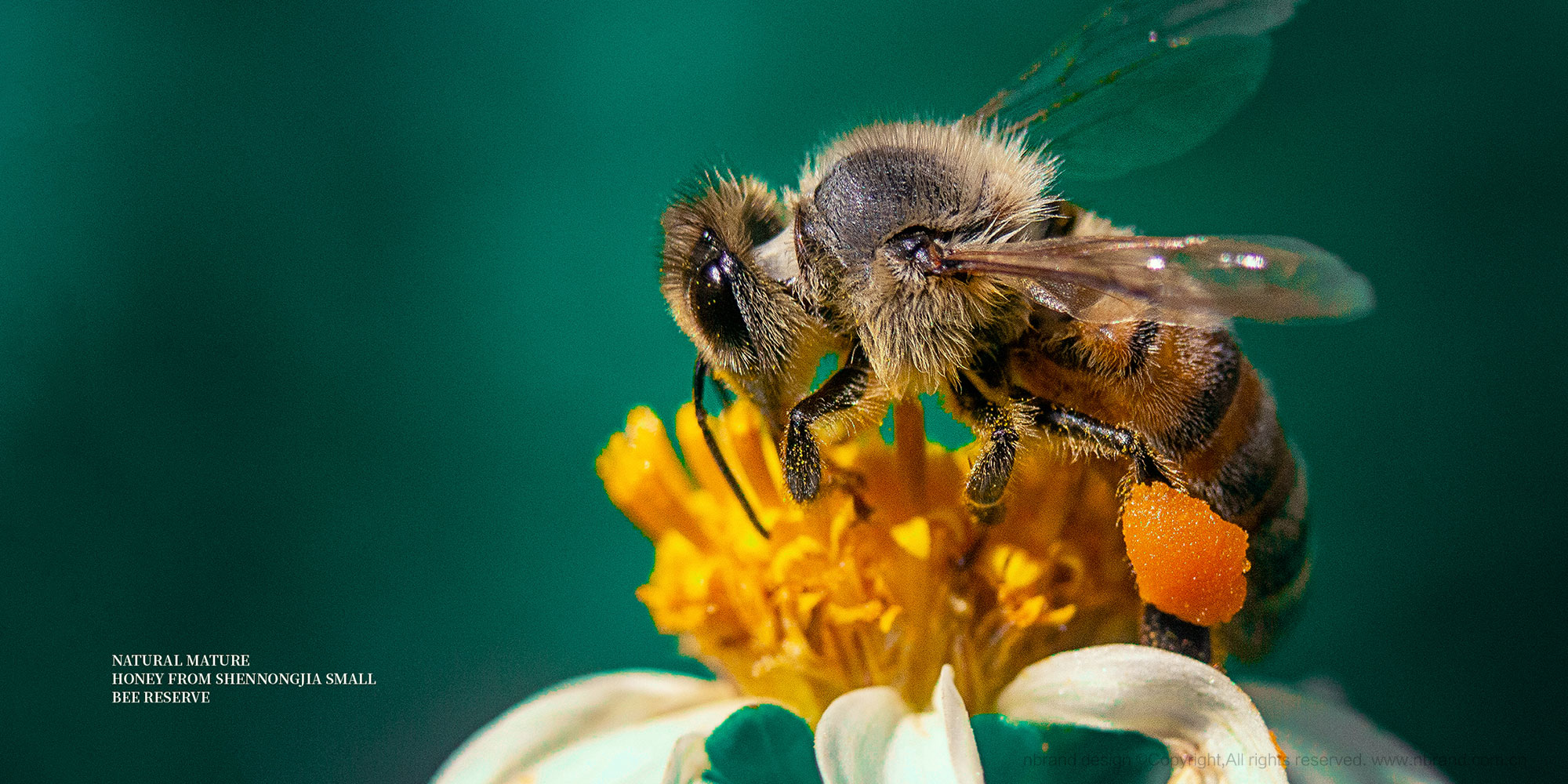 �샞������������ʳƷ���b�OӋ,�Y���OӋ,�߶�Ʒ���OӋ