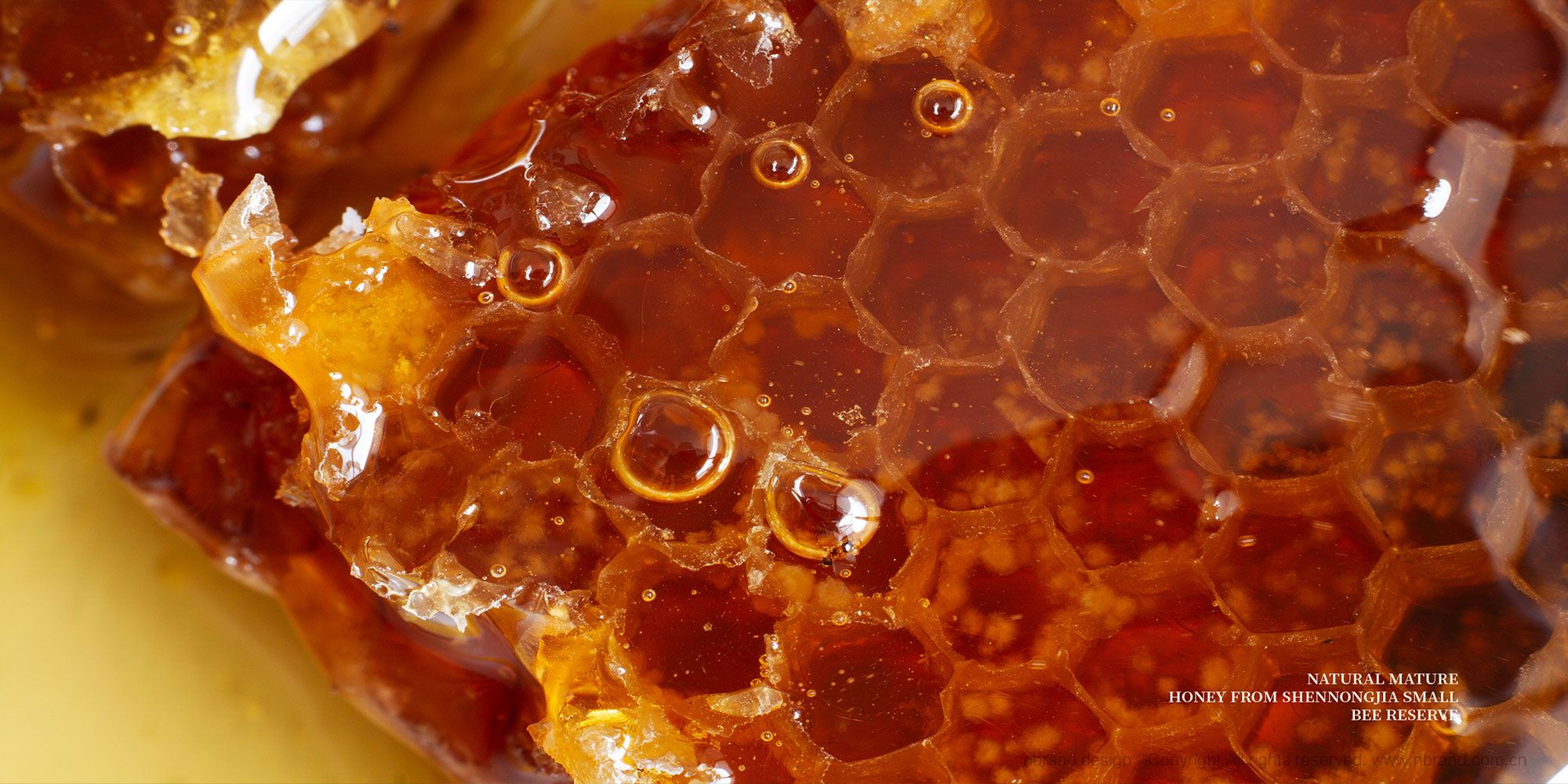 �샞������������ʳƷ���b�OӋ,�Y���OӋ,�߶�Ʒ���OӋ