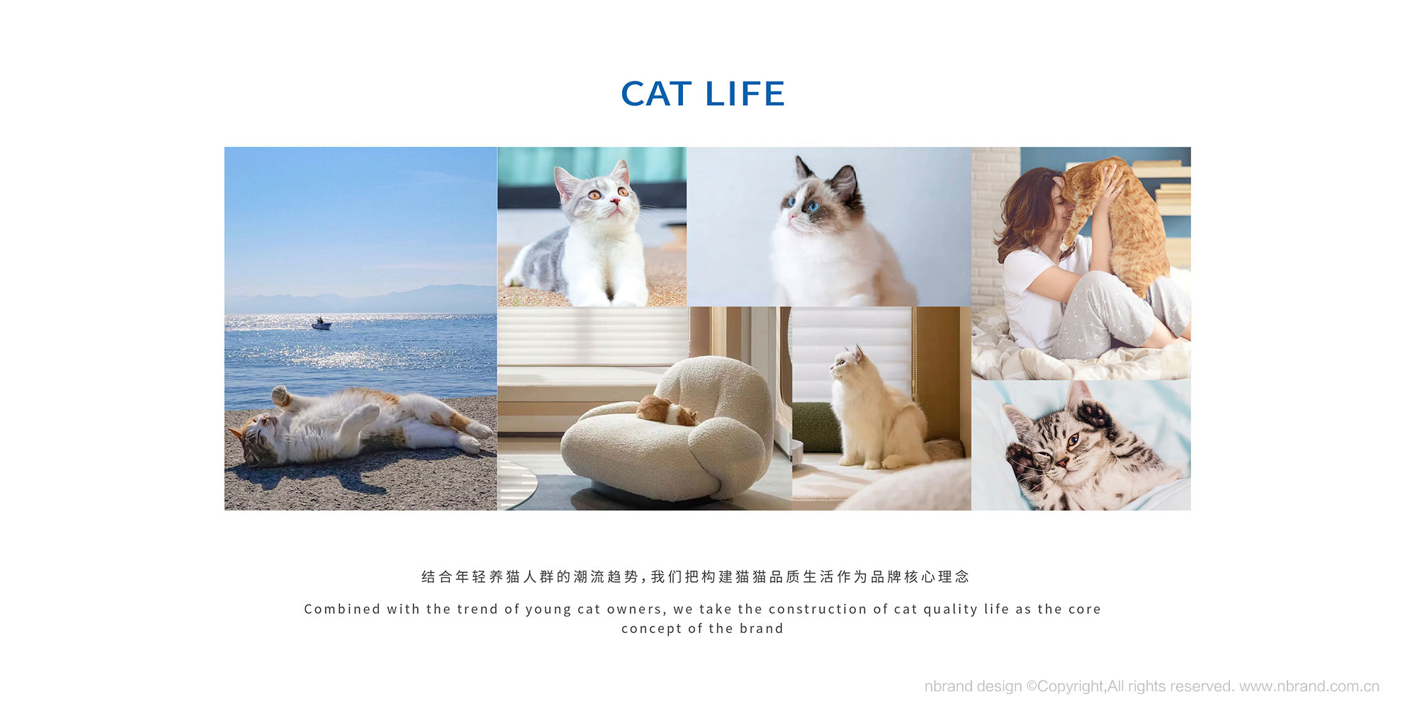 ���b�OӋ: �샞؈ɰ���b�OӋ,�aƷ���b�OӋ,Ʒ���OӋ